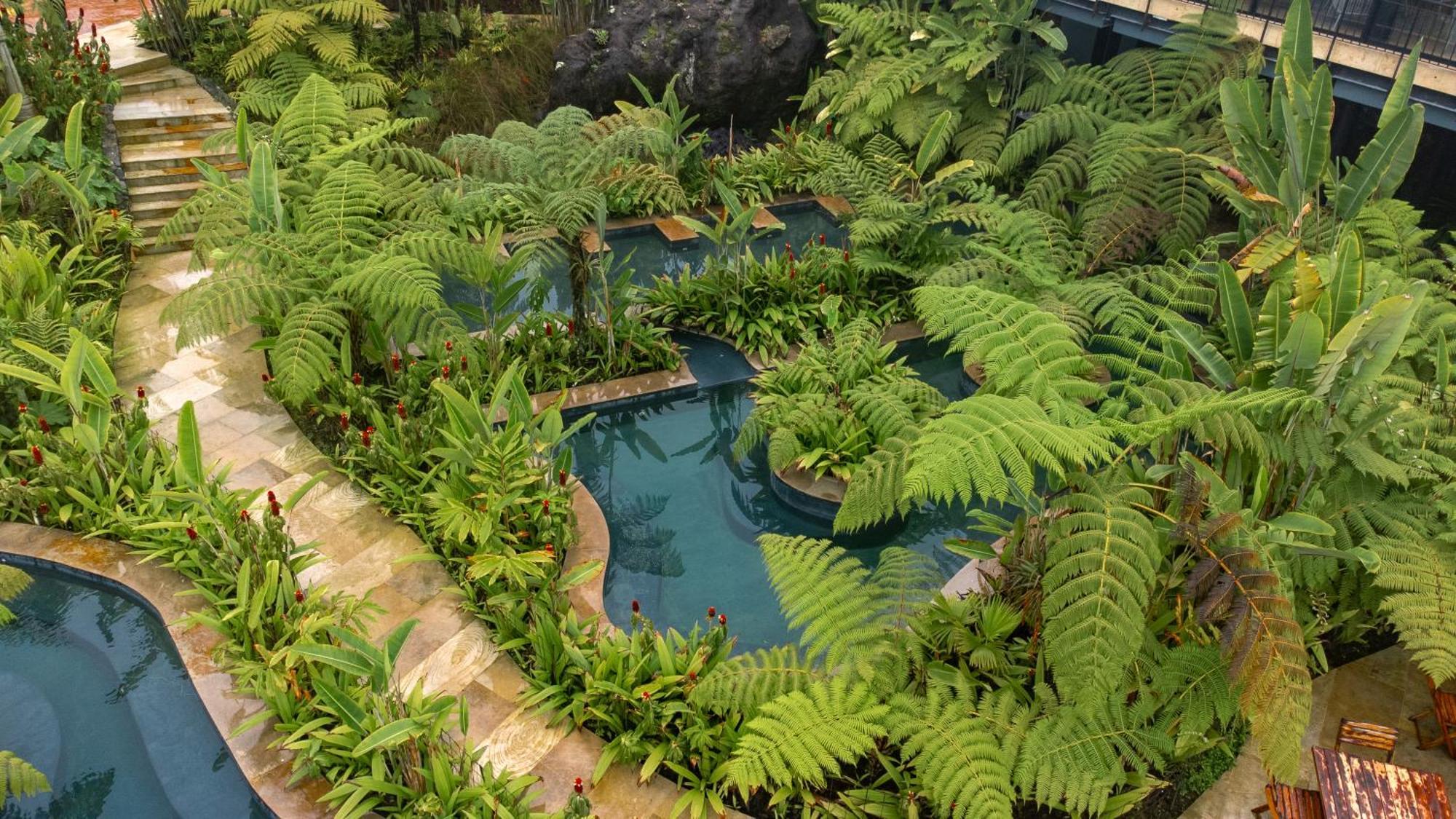 מלון מניזאלס Termales El Otono מראה חיצוני תמונה The interior of the Rainforest biome