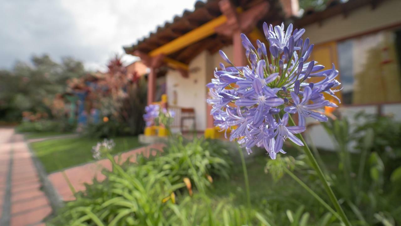 מלון מניזאלס Termales El Otono מראה חיצוני תמונה Agapanthus africanus
