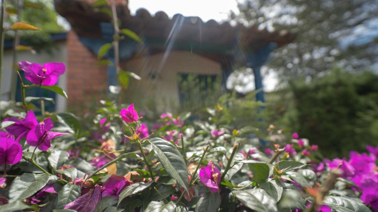 מלון מניזאלס Termales El Otono מראה חיצוני תמונה A woman watering flowers